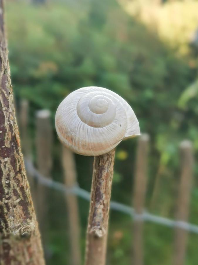 Ferienglueck An Der Nordsee Buche Deine Erdgeschoss-Ferienwohnung Mit Kamin Terrasse Und Eingezaeuntem Garten Fuer Unvergessliche Auszeiten Altfunnixsiel Kültér fotó